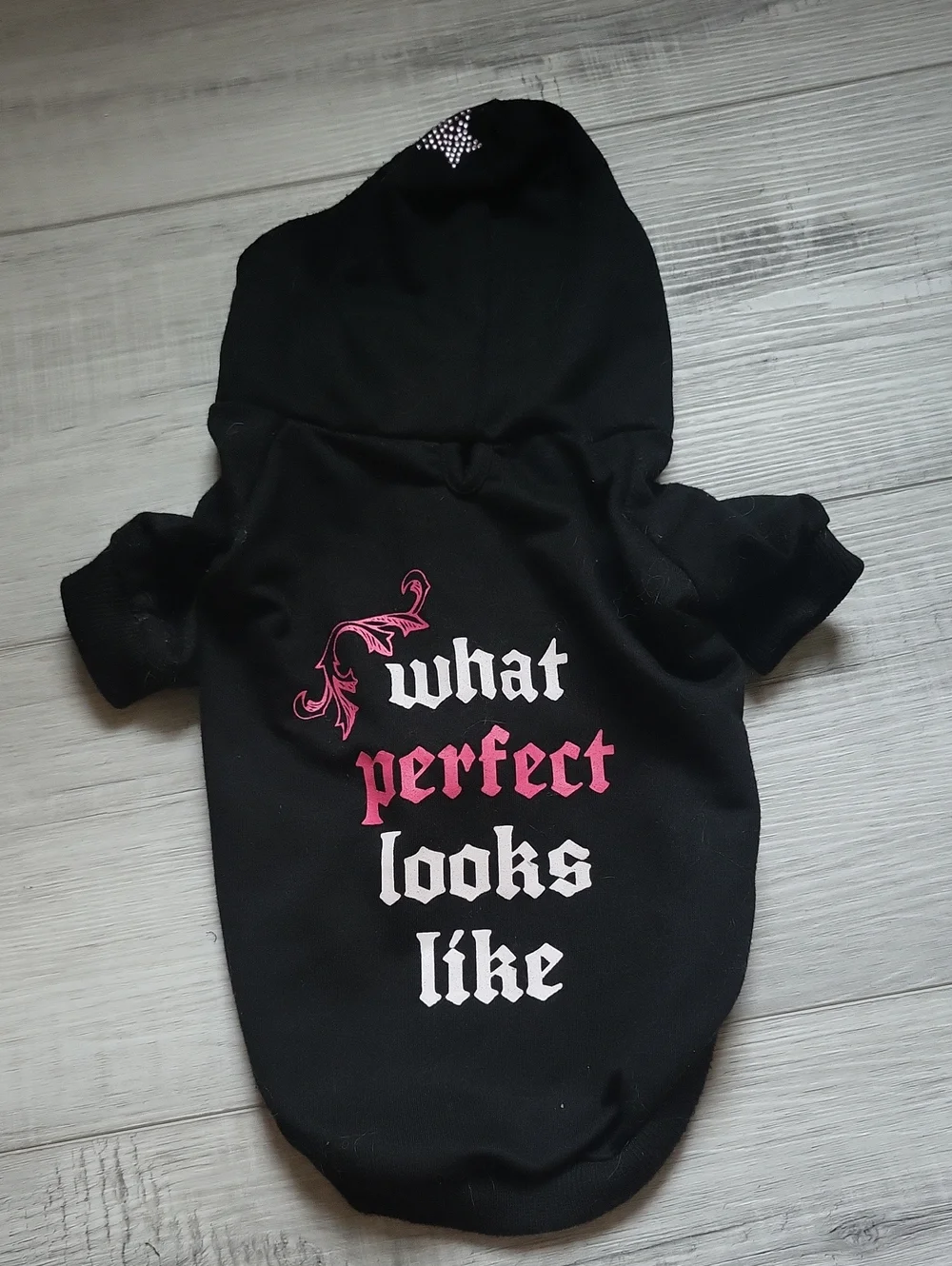 Velcro Dog Hoodie